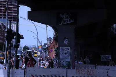 DSC_1830 (Large).JPG